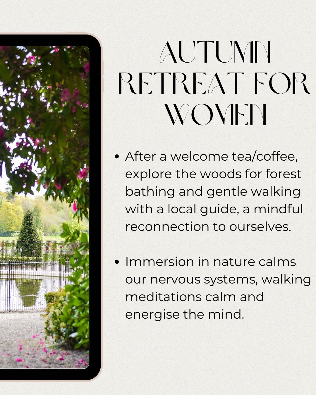 path to clarity.zip - 2